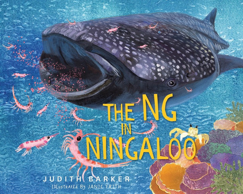 The NG in Ningaloo (HB)